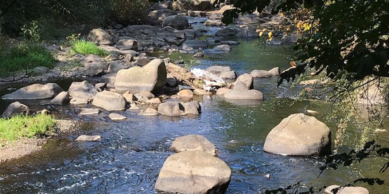 Die Chemnitz, ein Fluss in Sachsen. Foto: Detlef Apolinarski